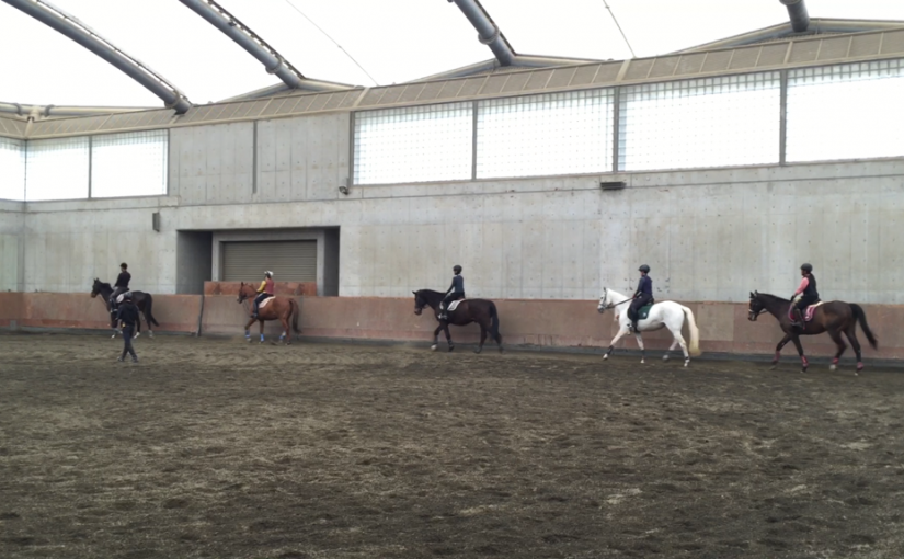 乗馬クラブでエンジョイコースのレッスンを行いました（大阪府大阪市/Ｔ様）
