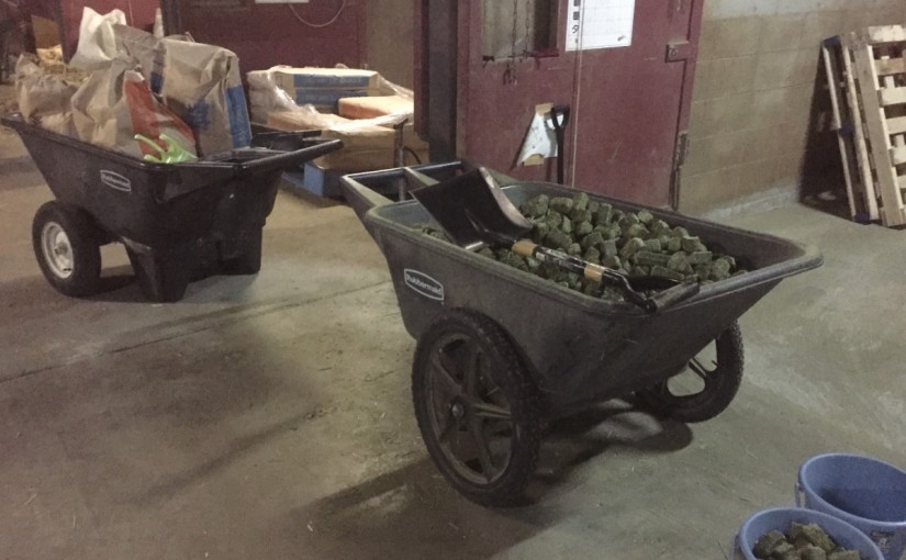 乗馬クラブでエサの準備を行いました(大阪府守口市/鶴見緑地乗馬苑)