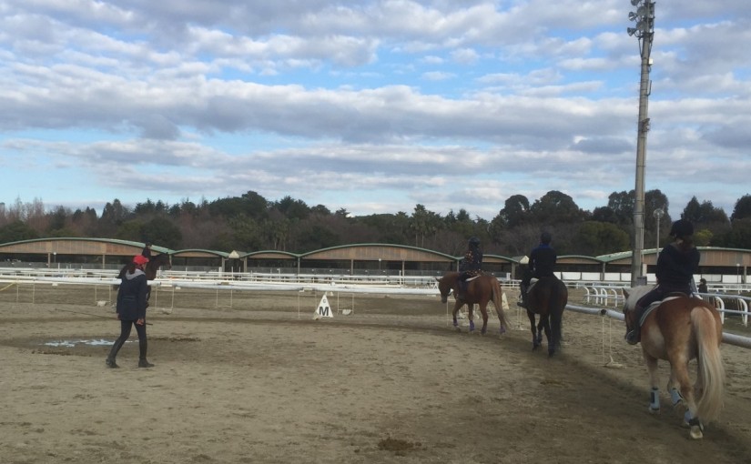 乗馬クラブでインストラクターに密着しました(大阪府大阪市/鶴見緑地乗馬苑)