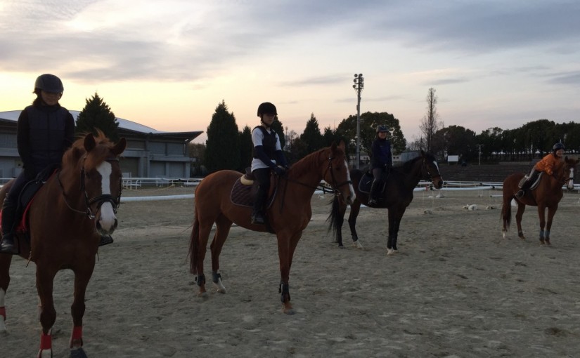 乗馬クラブで馬場レッスンを行いました(大阪府大阪市/Y様)