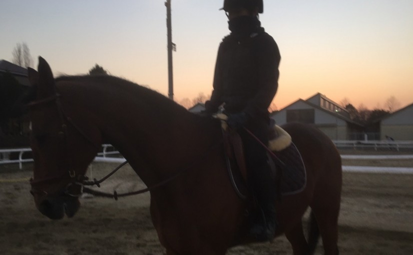 乗馬クラブで馬場のレッスンを行いました(大阪府守口市/S様)