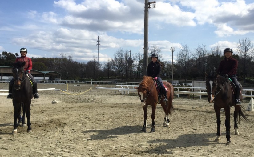 乗馬クラブで駈歩での図形練習を行いました(大阪府東大阪市/Y様)