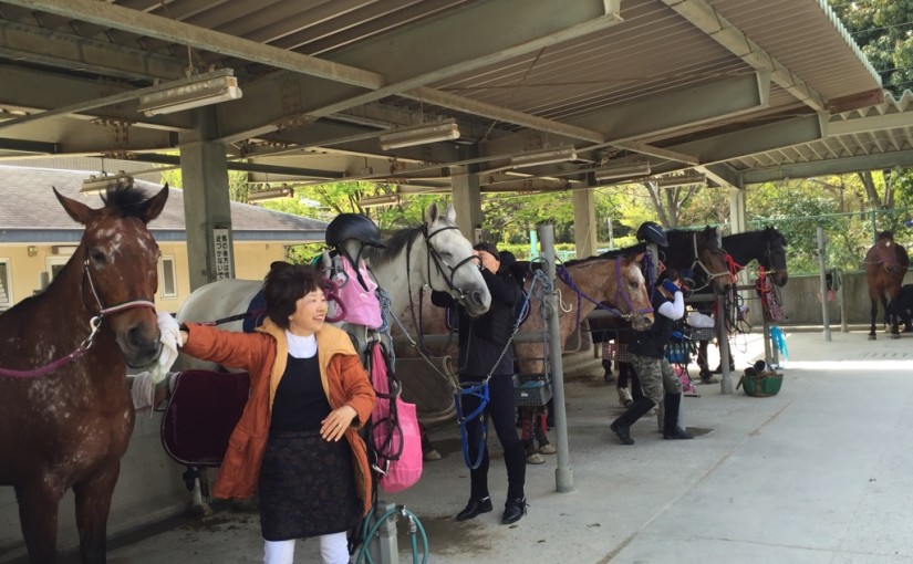 乗馬クラブで体験乗馬を行いました（大阪府大阪市/Ｍ様）