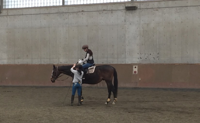 乗馬クラブで体験乗馬を行いました（大阪府大阪市/Ｍ様）