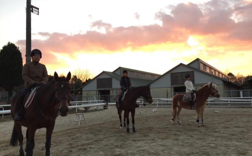 乗馬クラブでノーブスクラスのレッスンを行いました（大阪府大阪市/Ｋ様）