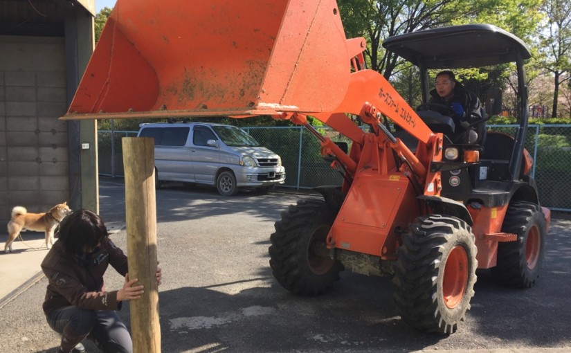 乗馬クラブで放牧場作りを行いました（大阪府/鶴見緑地乗馬苑）