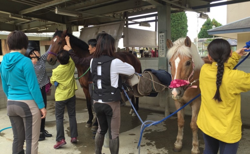 乗馬クラブで初級ドレッサージュ行いました（大阪府茨木市/Ｓ様）