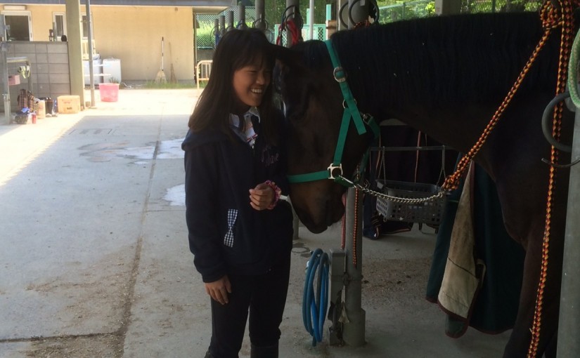 乗馬クラブの洗い場で、癒しの一コマ【大阪市／鶴見緑地乗馬苑】