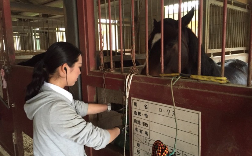 乗馬クラブの夕ご飯時【大阪市／鶴見緑地乗馬苑】