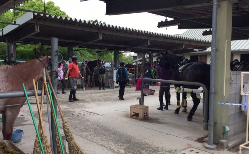 乗馬クラブでの洗い場の風景（大阪府/鶴見緑地乗馬苑）