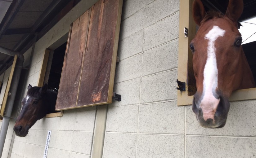 雨の日の乗馬クラブ（大阪府/鶴見緑地乗馬苑）
