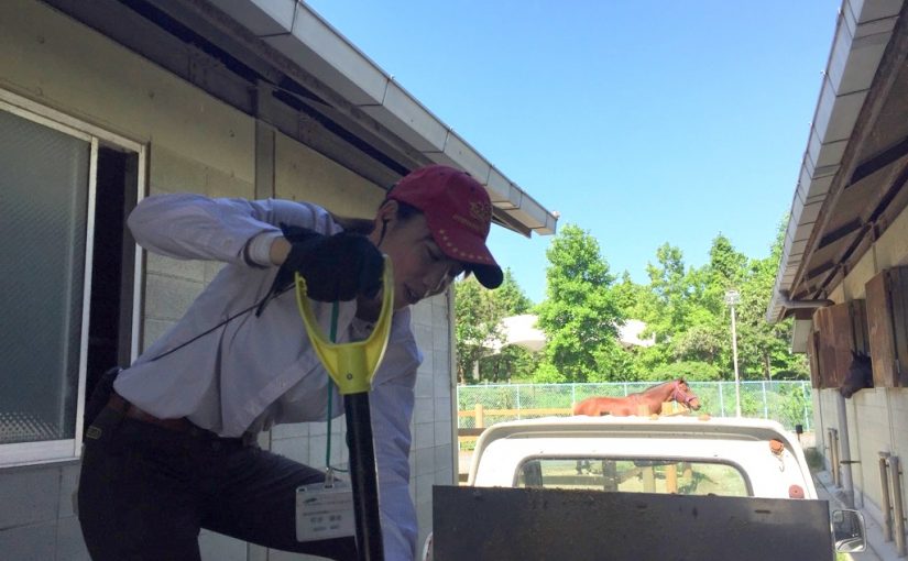 乗馬クラブで馬房掃除を行いました（大阪府/鶴見緑地乗馬苑）