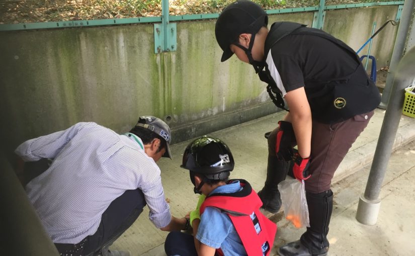 乗馬クラブでビギナーレッスンを行いました（大阪府/鶴見緑地乗馬苑）