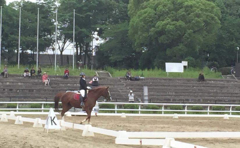 乗馬クラブで競技会が行われました（大阪府/鶴見緑地乗馬苑）