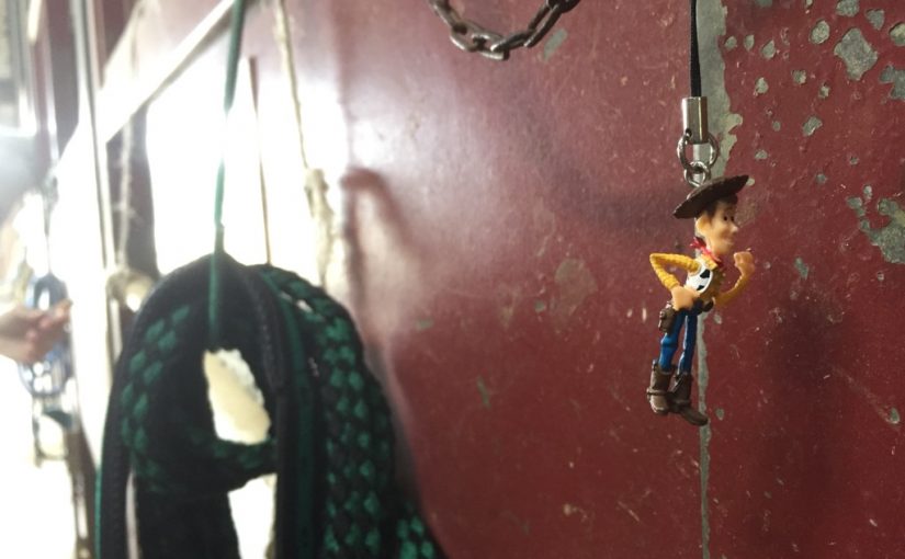 大阪府の乗馬クラブ 厩舎内で見つけました！（大阪府/鶴見緑地乗馬苑）