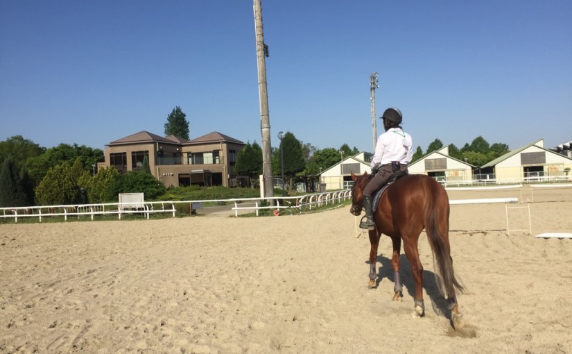 乗馬クラブで厩舎の作業を行いました（大阪府/鶴見緑地乗馬苑）