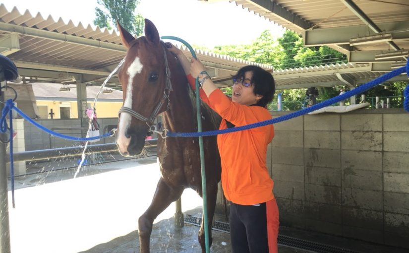 乗馬クラブで初級ドレッサージュのレッスンを行いました（大阪府吹田市/Ｍ様）