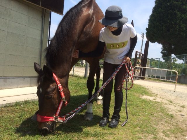 乗馬クラブの水浴び後は草を食べながら身体を乾かします【大阪市/鶴見緑地乗馬苑】
