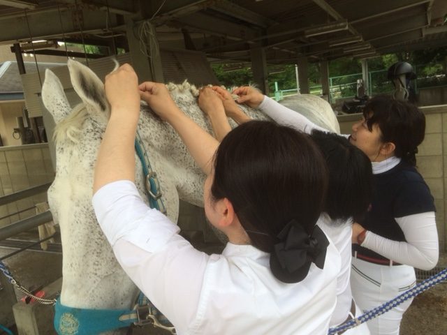 乗馬クラブでエンジョイ８回コースを行いました。【大阪市/鶴見緑地乗馬苑】
