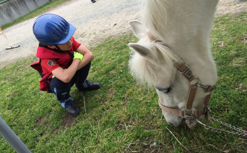 乗馬クラブで体験乗馬を行いました（兵庫県伊丹市/Ｋ様）