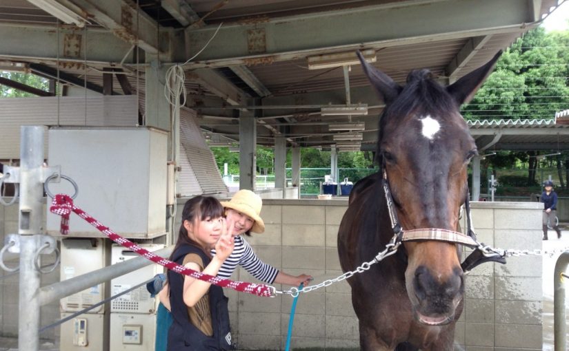 乗馬クラブで初心者４回コースを行いました【大阪市/鶴見緑地乗馬苑】