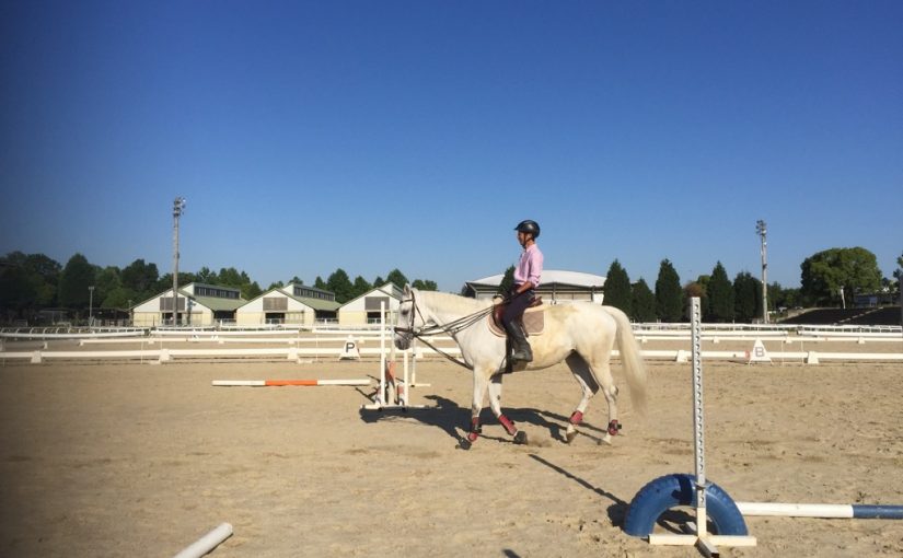 乗馬クラブで体験乗馬を行いました（大阪府茨木市/Ｍ様）