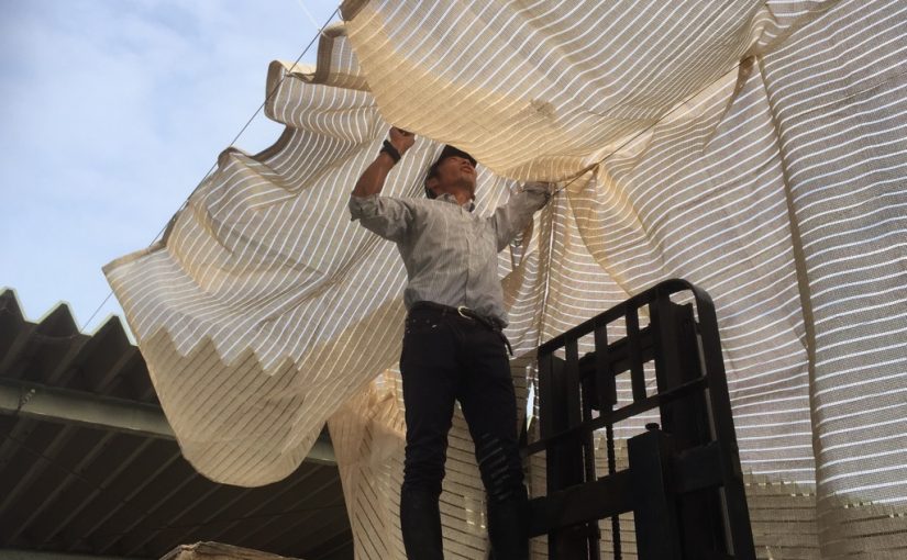 乗馬クラブの朝（大阪府/鶴見緑地乗馬苑）