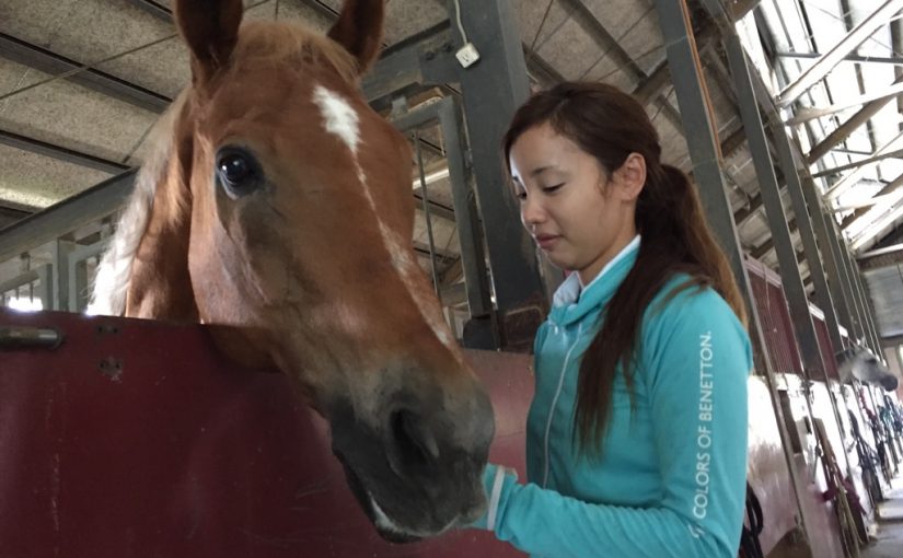 乗馬クラブで厩舎内をお散歩しました（大阪府/鶴見緑地乗馬苑）