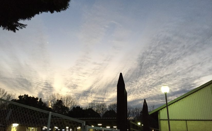 乗馬クラブで初級ドレッサージュのレッスンを行いました（大阪府/鶴見緑地乗馬苑）