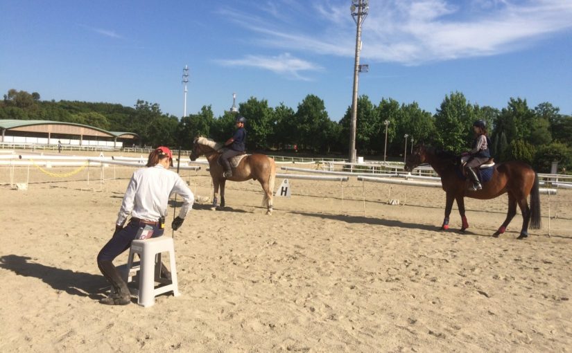 乗馬クラブの初級ドレッサージュレッスンにお邪魔しました！【大阪市/鶴見緑地乗馬苑】