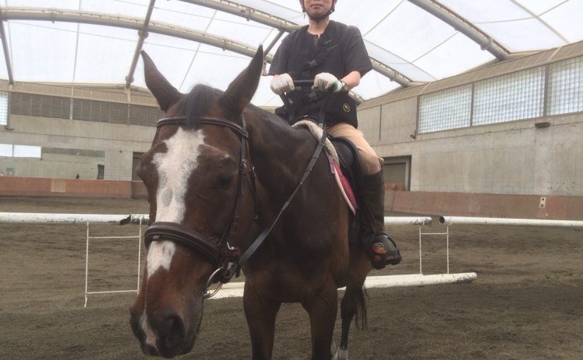 乗馬クラブで乗馬体験１回コースを行いました【大阪市/鶴見緑地乗馬苑】