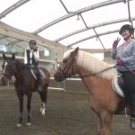 乗馬クラブの初級ドレッサージュレッスン♪【大阪市/鶴見緑地乗馬苑】