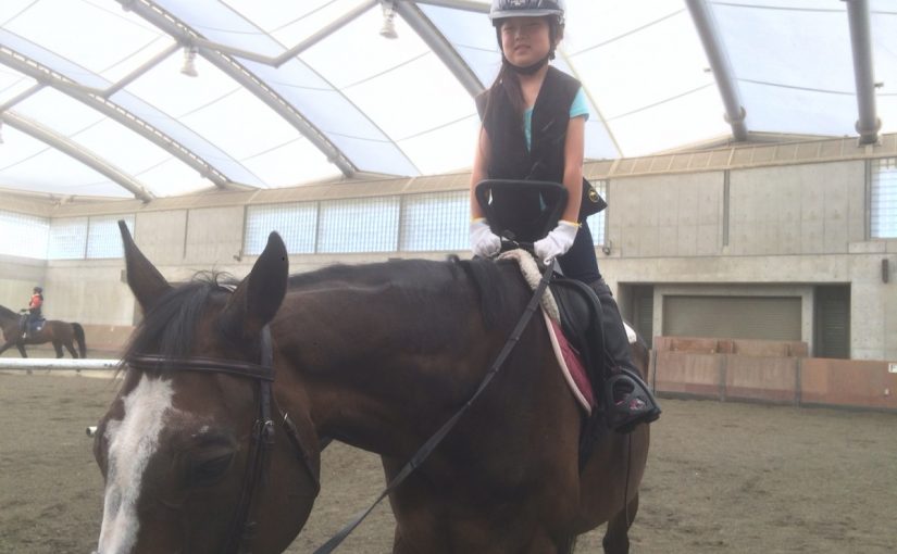乗馬クラブで初心者４回コースを行いました【大阪市/鶴見緑地乗馬苑】
