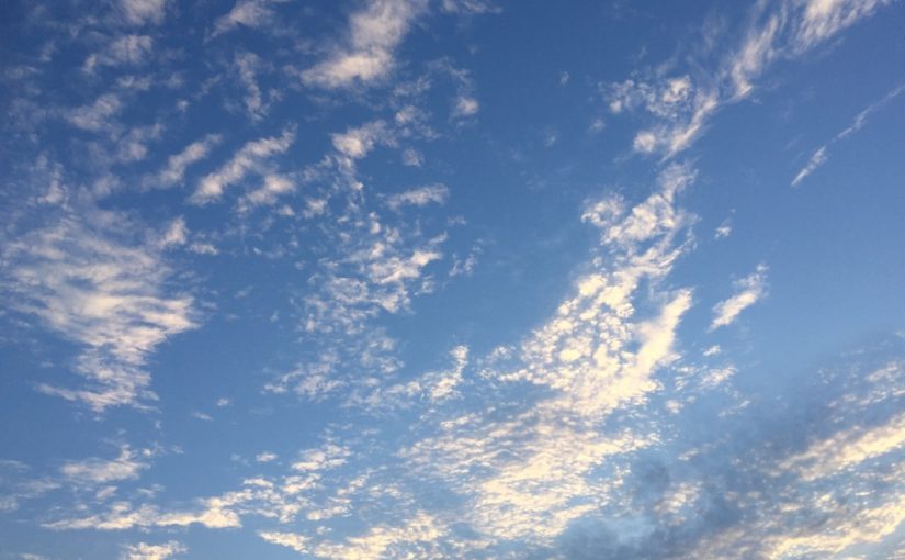 乗馬クラブで初級ドレッサージュのレッスンを行いました（大阪府/鶴見緑地乗馬苑）