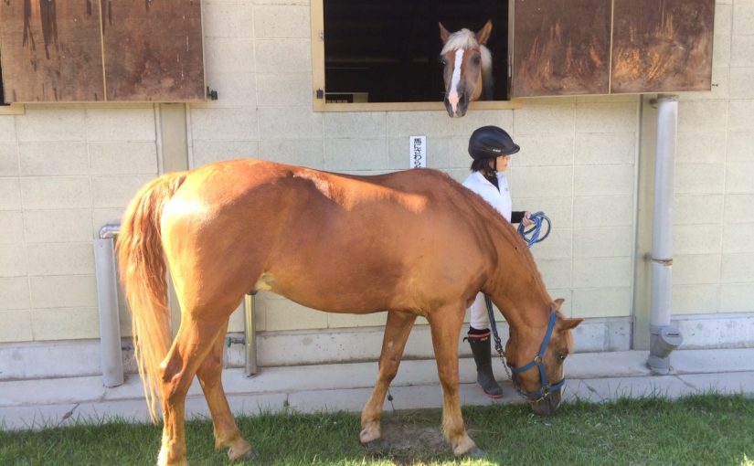 乗馬クラブの何気ないひととき★（大阪市/鶴見緑地乗馬苑）