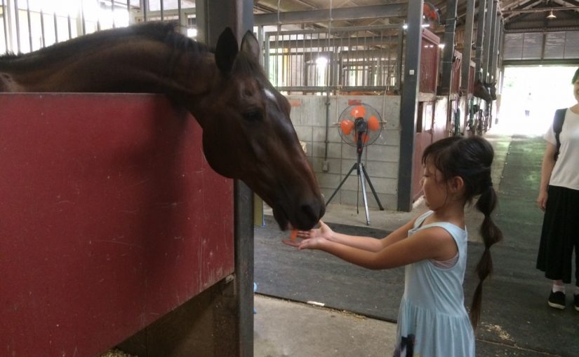 乗馬クラブの体験レッスンで馬にありがとう（門真市/鶴見緑地乗馬苑）