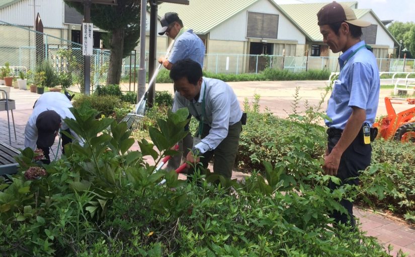 乗馬クラブのクラブハウス周りをすっきりきれいに★（守口市/鶴見緑地乗馬苑）