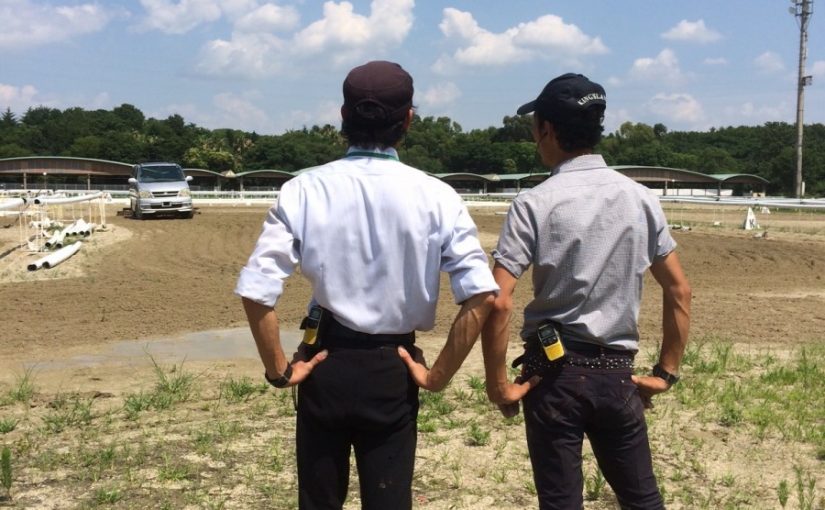 昼の晴れ間に、乗馬クラブの馬場整地。見守る男たちの背中（守口市/鶴見緑地乗馬苑）