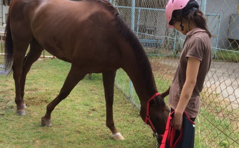 乗馬クラブで、ゆったり流れるレッスン後の時間（守口市/鶴見緑地乗馬苑）