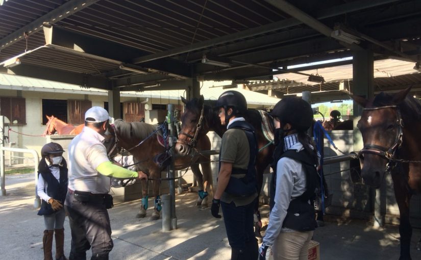 乗馬クラブでレッスン前にワンポイントアドバイス（寝屋川市/鶴見緑地乗馬苑）
