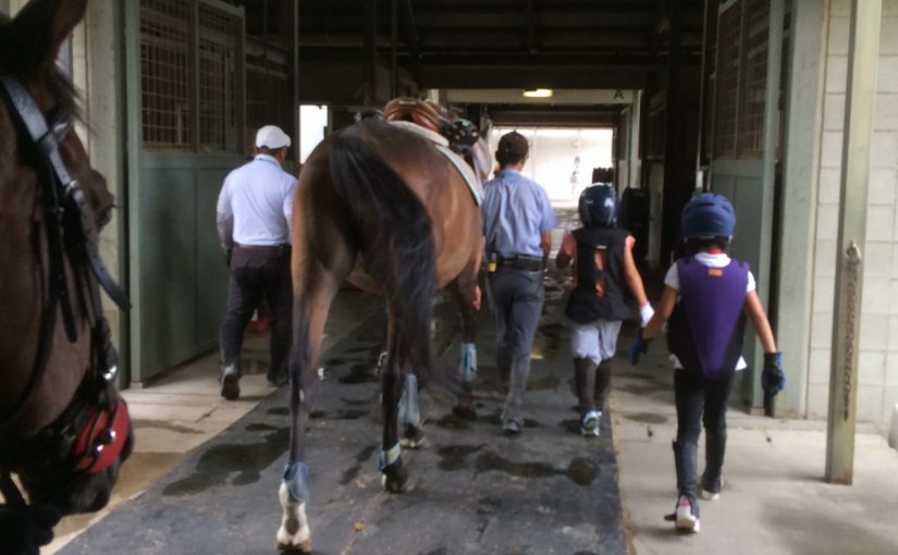 乗馬クラブでうまうまキャンプ開催！（守口市/鶴見緑地乗馬苑）