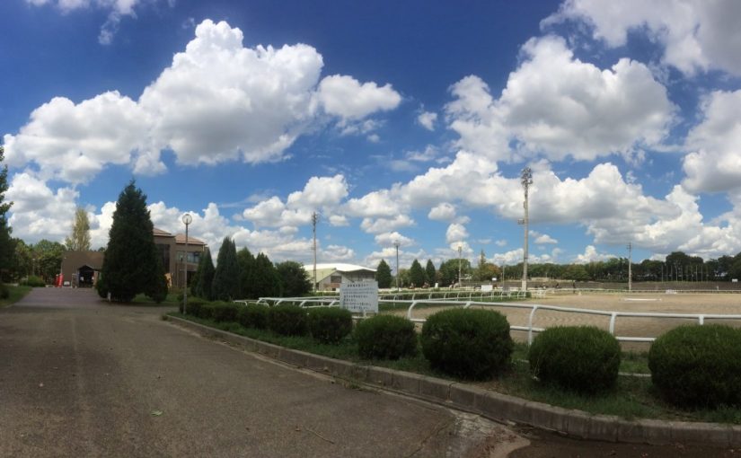 暑いながらもさわやかな気候になってきました！