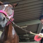 汗をかいたら、ひとっ風呂！（大東市/鶴見緑地乗馬苑）