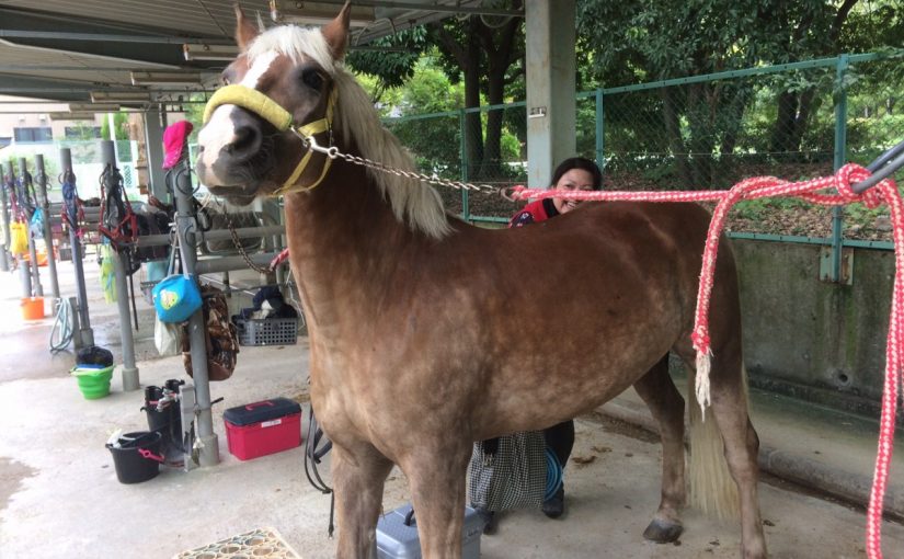 グルーミングも、密かな楽しみのひとつです！