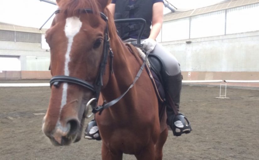 乗ったことはあるけれど…走る気持ちよさは初体験でした！