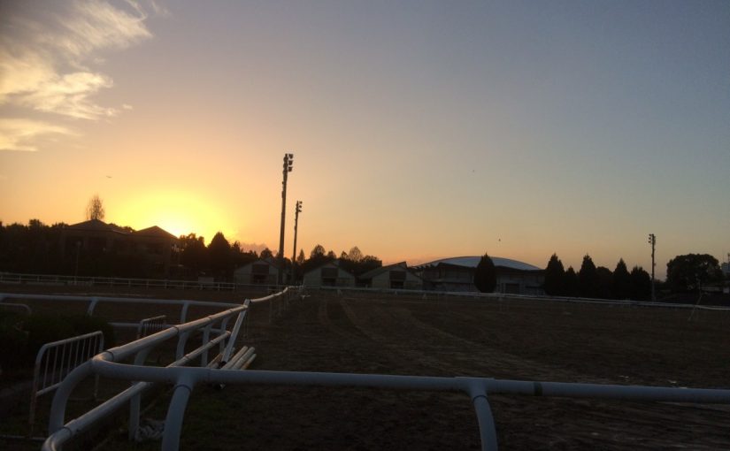 祭典-festival-　からの夕焼け。
