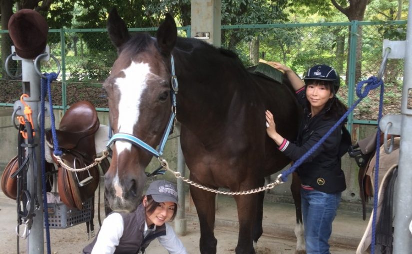 今日からエンジョイ８回コース♪（乗馬体験）