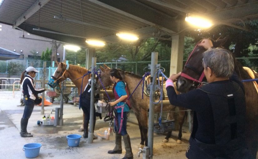 日が短くなってきました。