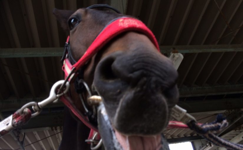 リンタローの大きな一口。