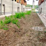 すくすくと成長中♪